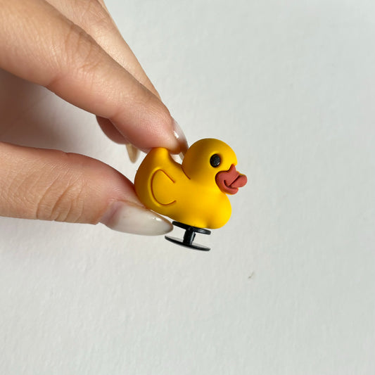 Canard 3D